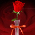 warda